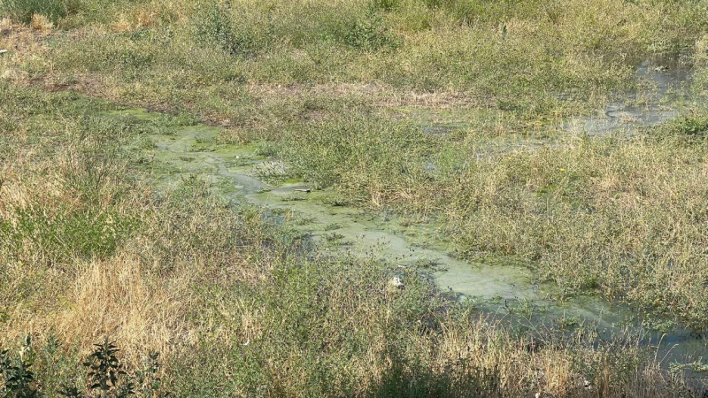 Կոյուղաջրերը լցվում են շենքի ու դպրոցի կողքի այգի