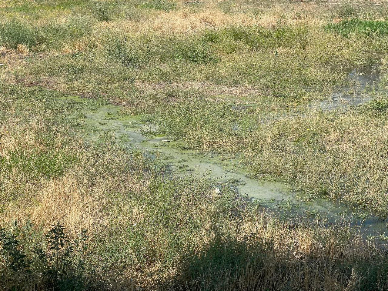 Read more about the article Կոյուղաջրերը լցվում են շենքի ու դպրոցի կողքի այգի